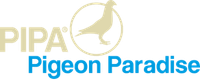 PIPA